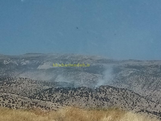 آتش سوزی دوباره در مراتع و درختان گل سرخ روستای مونه در لنده+تصاویر