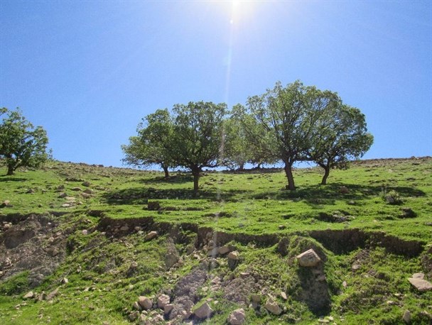 “گگه احمدروستایی” به پهنه تاریخ در لنده+تصاویر