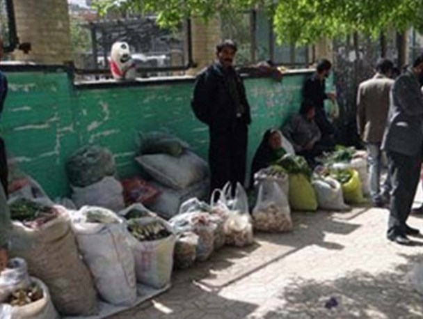 معمای خیایان ناصرخسروی علف فروشان در یاسوج/پاتک کرونا به مردم سرزمین چهارفصل