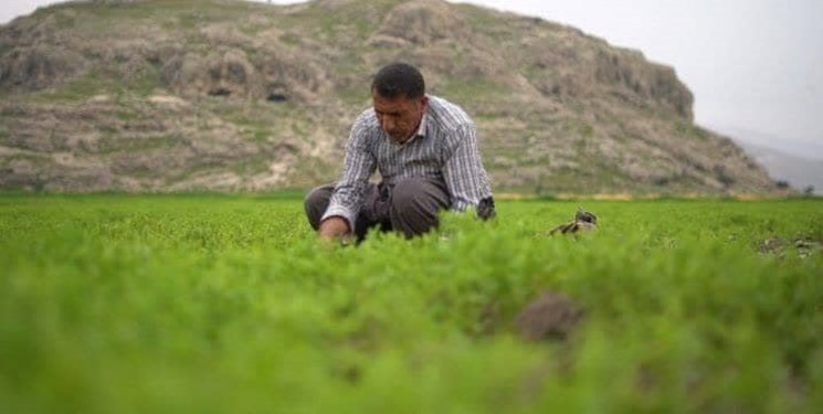 راه‌یابی مستند طلای سبز کهگیلویه و بویراحمد به دومین جشنواره ملی میراث فرهنگی