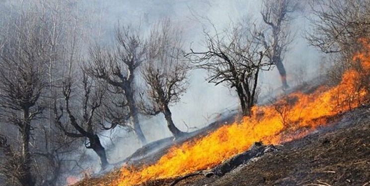 امسال ۲۵۰ هکتار جنگل و علفزار  گچساران دچار آتش‌سوزی شد