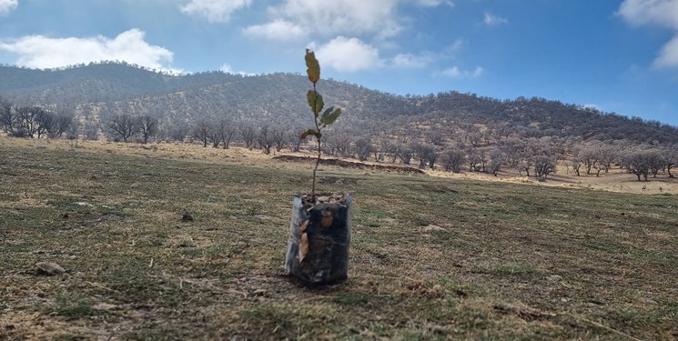 انجمن سبزنشینان سی‌سخت گرمابخش طبیعت در سرمای سوزان آذرماه+تصویر و فیلم