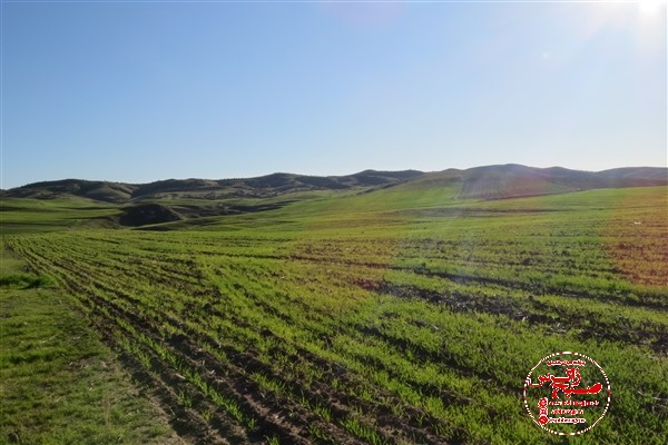 بهشت کشاورزی کهگیلویه در قاب تصویر