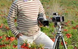 هیچ عقل سلیمی انتخاب کاندیدای طایفه ای را نمی پذیرد/اتفاق تاسف بار دامن زدن برخی کاندیدای انتخابات به مسائل طایفه ای است هیچ عقل سلیمی انتخاب کاندیدای طایفه ای را نمی پذیرد/اتفاق تاسف بار دامن زدن برخی کاندیدای انتخابات به مسائل طایفه ای است