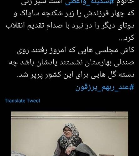 شیرزنی که نمایندههای مجلس مدیون او هستند+ عکس شیرزنی که نمایندههای مجلس مدیون او هستند+ عکس