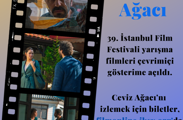 نمایش فیلم «درخت گردو» در استانبول/ «مریم مقدس» در یونان اکران شد