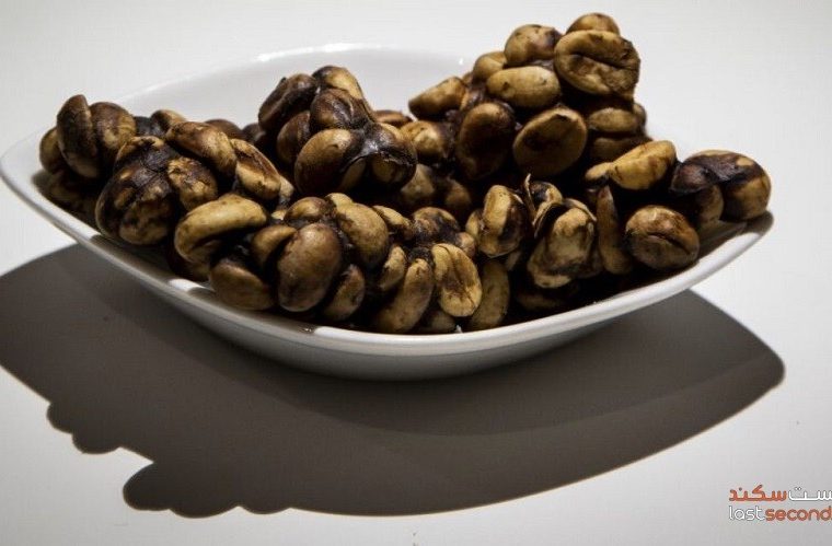 چندشآورترین غذاهای دنیا در این کشور باهم جمع شده اند! +تصاویر چندشآورترین غذاهای دنیا در این کشور باهم جمع شده اند! +تصاویر