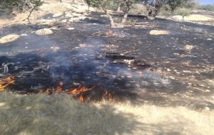 افتادن آتش به جان جنگل های بادنگان دنا+تصاویر