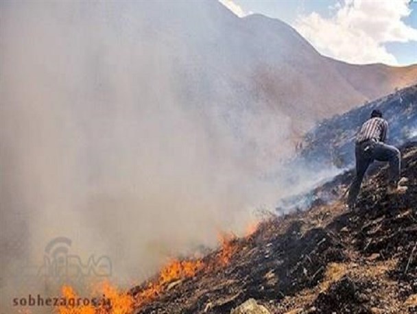 اقدام به‌موقع تیم گشت محیط زیست در مهار آتش‌سوزی کوه سرخ گچساران/ ۹۵درصد آتش‌سوزی جنگل‌های گچساران عمدی است