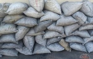 دستگیری قاچاقچیان منابع طبیعی با ۷۰۰ کیلو زغال چوب در دیشموک + تصاویر