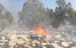 لنده در آتش اختلافات محلی می‌سوزد/ ضرورت ورود قاطعانه دادستانی به آتش‌سوزی‌های کوه سیاه+تصاویر