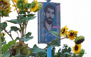 زیبایی گل‌های “آفتابگردان” در پاییز گچساران