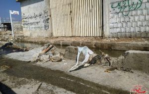 بهداشت و سلامت ساکنین بلهزار یاسوج در تیررس جداول پر از زباله+تصاویر