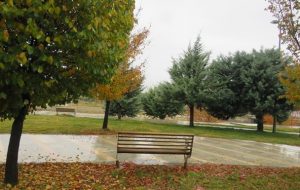 طراوت و زیبایی باران پاییزی در شهر یاسوج