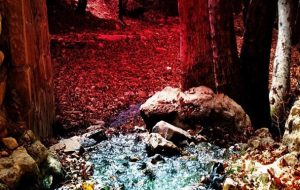 معجزه رنگ ها در نگین پایتخت طبیعت ایران