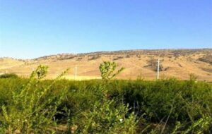 بعد از تپه‌خواری و دره‌خواری نوبت به موردستانخواری رسید/تقاضای رسیدگی از مسولان قضایی در باشت+تصاویر