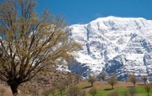 بهشت نقاشی خداوند در بوم‌رنگ طبیعت زیبای گنجه‌ای یاسوج