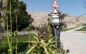 تخریب و سرقت لامپ‌های روشنایی در پارک ورودی شهرلنده+تصاویر