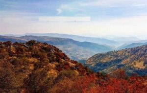 “تنگه تامرادی”، شاهکار طبیعت و تاریخ در سرزمین چهار فصل+تصاویر