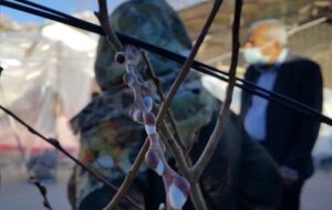 زندگی در سی‌سخت جریان دارد