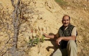 کاشت یک میلیون اصله نهال توسط معلم کهگیلویه‌وبویراحمدی