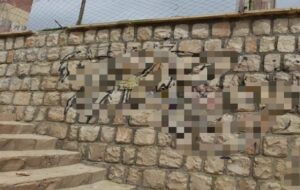 اسپری‌های رنگ، بلای جان دیوارهای مناطق گردشگری/ تبدیل شدن پارک‌های یاسوج به ایستگاه نقاشی