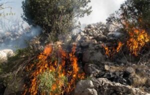 خامی در آتش/ چه خبر از کارخانه قند