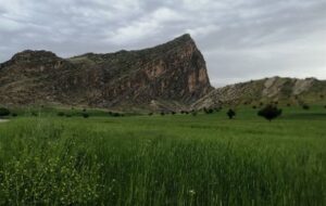 سازمان مدیریت و برنامه ریزی کهگیلویه و بویراحمد در لنده چه فعالیتی دارد؟/ لنده قطب کشاورزی می‌شود؟