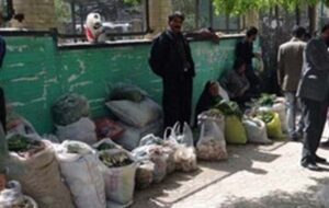 معمای خیایان ناصرخسروی علف فروشان در یاسوج/پاتک کرونا به مردم سرزمین چهارفصل