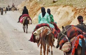 پاسکاری منابع طبیعی و امور عشایر کهگیلویه و بویراحمد در خصوص کوچ عشایر/ چه کسی باید سد راه متخلفان شود؟