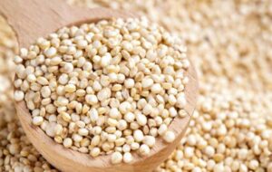 کینوا را جایگزین برنج کنید/قربانی شدن منابع ملی در یک مذاکره