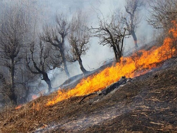 پیشنهادی به کاندیداهای انتخابات مجلس و شوراهای گچساران و باشت