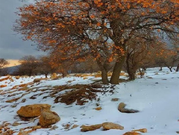 تصاویری زیبا از چشم انداز کوه سیاه در لنده تصاویری زیبا از چشم انداز کوه سیاه در لنده