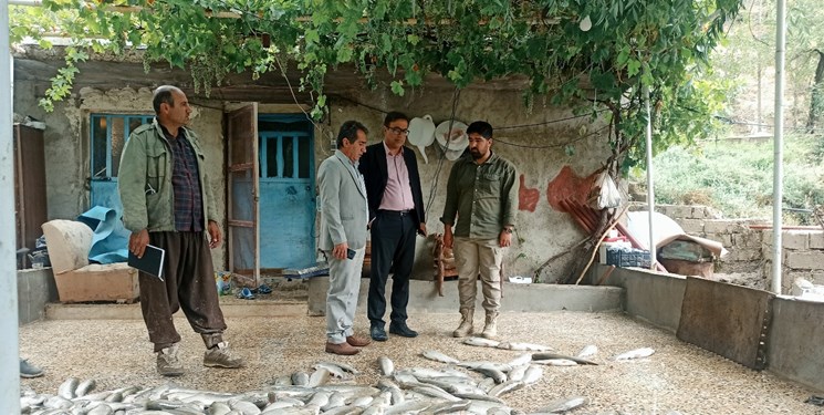 تلف شدن بیش از ۲۰۰ تن ماهی در شهرستان دنا بر اثر بارندگی‌ها/خسارات جدی به کشاورزی+تصاویر