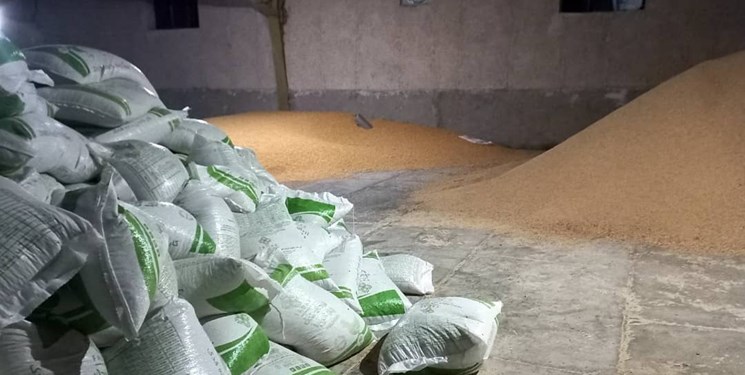 پرداخت بیش از ۳۸ میلیارد ریال تسهیلات سرمایه در گردش به دامداران گچساران