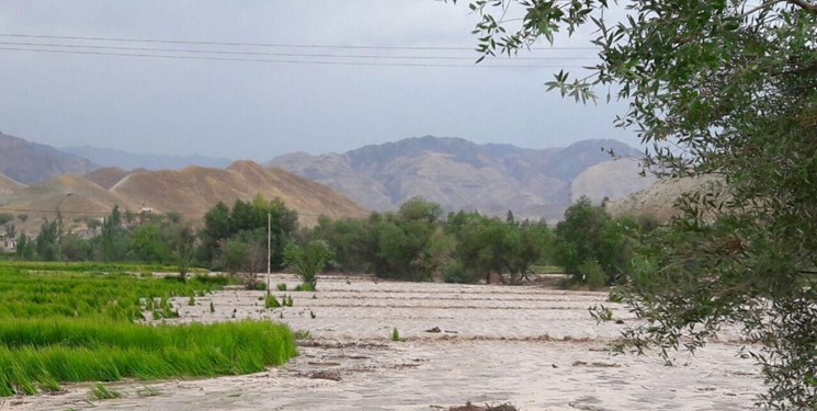 کشاورزان و دامداران کهگیلویه و بویراحمدی هشدارهای ستاد بحران را جدی بگیرند
