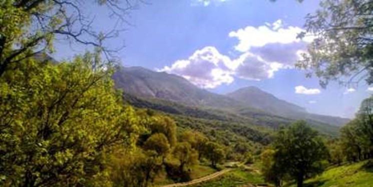 تشکیل ۱۱۰ پرونده تخلف در عرصه منابع طبیعی گچساران تشکیل ۱۱۰ پرونده تخلف در عرصه منابع طبیعی گچساران