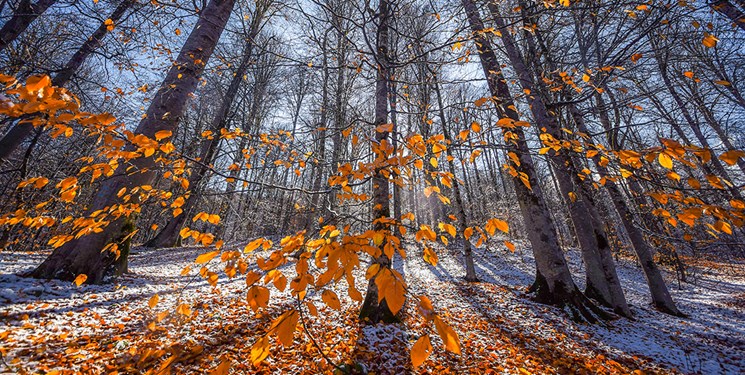 وضعیت جوی کهگیلویه و بویراحمد در روزهای ابتدایی پاییز/ پیشبینی افزایش دما تا دوشنبه وضعیت جوی کهگیلویه و بویراحمد در روزهای ابتدایی پاییز/ پیشبینی افزایش دما تا دوشنبه