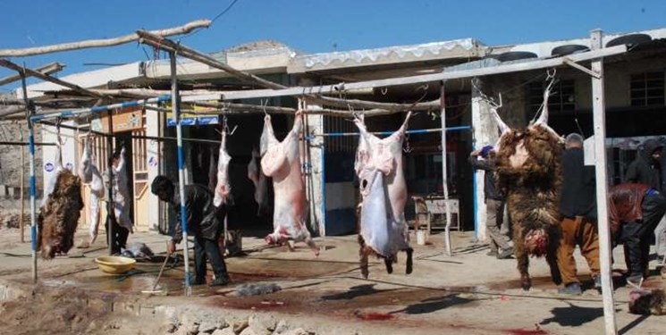 ضرب‌الاجل یک ماهه برای ساماندهی کشتارهای غیرمجاز منطقه تنگاری بویراحمد