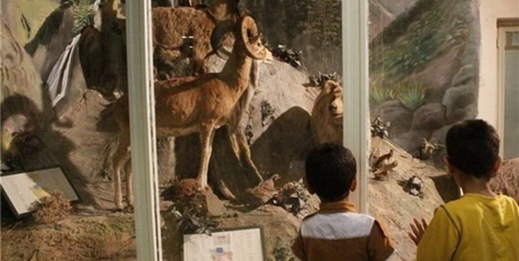 بیت‌المال در پارک جنگلی یاسوج در حال از بین رفتن است/ تقاضای محیط زیست برای یک بنای نصف و نیمه