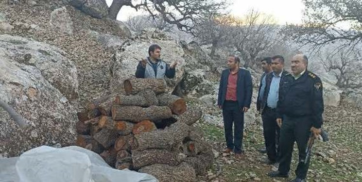 تخریب ۱۰ کوره زغال غیر مجاز در باشت