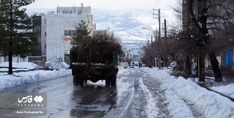 معجزه برف ۱۷ سانتی‌متری در یاسوج!/چرا کمر درختان خیلی آسان شکست؟
