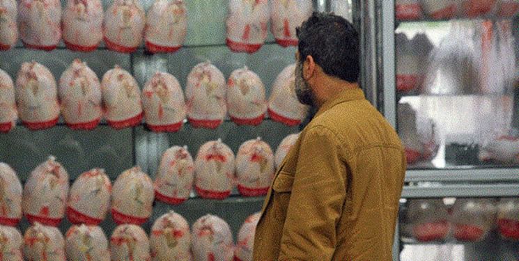 علت کمبود مرغ در بازار کهگیلویه و بویراحمد چیست؟/ توزیع ۲ هزار تن مرغ گرم تا پایان ماه رمضان