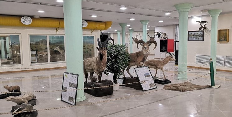 کهگیلویه و بویراحمد در دولت سیزدهم صاحب موزه تاریخ طبیعی میشود؟ کهگیلویه و بویراحمد در دولت سیزدهم صاحب موزه تاریخ طبیعی میشود؟