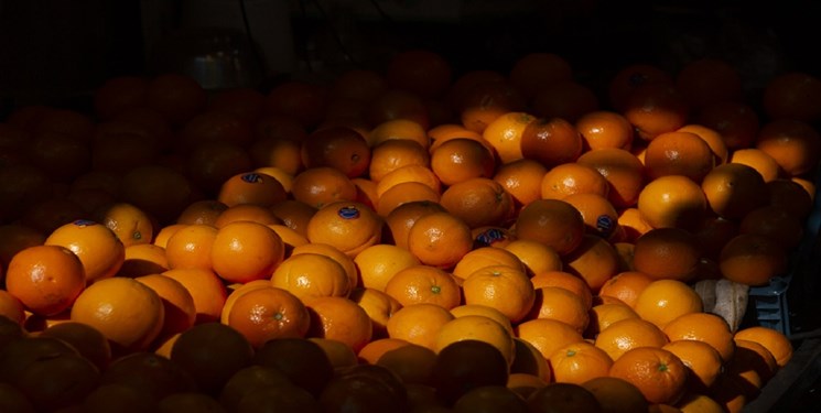 اما و اگرهای میوه شب عید در کهگیلویه و بویراحمد/ آیا میوه شب عید واقعا با کیفیت است؟