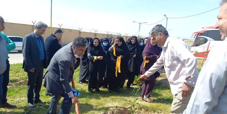 کاشت ۴۵۸ اصله نهال یادمان شهدای گچساران و باشت در استادیوم شهدای نفت گچساران