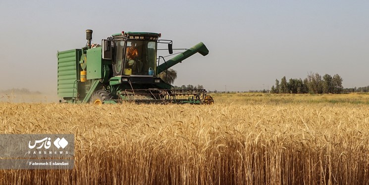 قحطی کمباین در کهگیلویه/ انتقاد فرماندار از وعده بی عمل تامین ماشین برداشت
