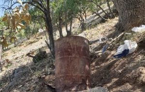 تلاش نیروهای یگان حفاظت منابع طبیعی و آبخیزداری کهگیلویه وبویراحمد/ ‌کشف هیزم قاچاق وامحا کوره زغال در ۲۴ساعت گذشته