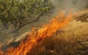 حوادث متعلق به یک اداره نیست/ضرورت آمادگی لازم تمام ادارات برای حوادث احتمالی در گچساران