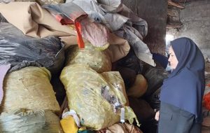 دپوی خطرناک پسماندهای عفونی در یک کارگاه ضایعاتی در حاشیه بویراحمد دپوی خطرناک پسماندهای عفونی در یک کارگاه ضایعاتی در حاشیه بویراحمد